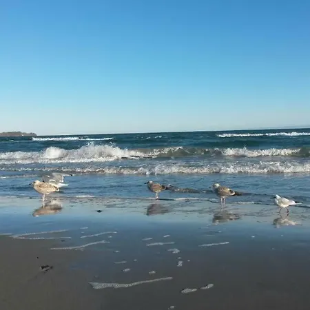 Ferienwohnung Strandmuschel يوليوسروه